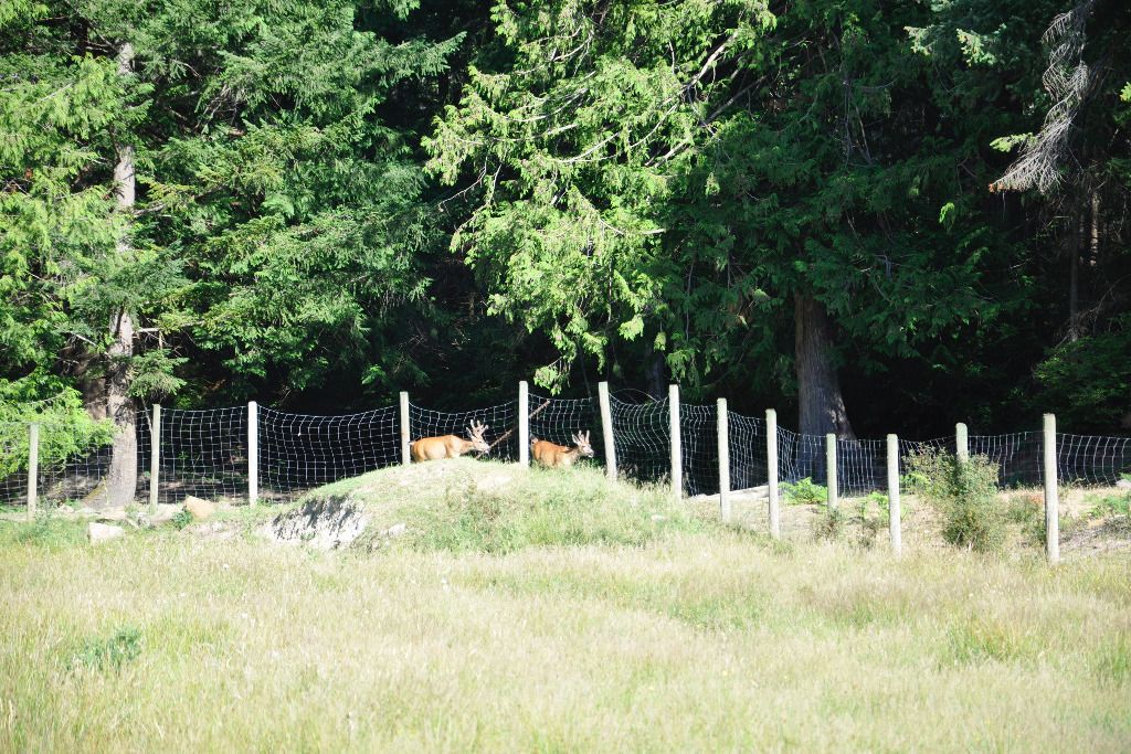 WHF Farm Stay Accommodation photo 5