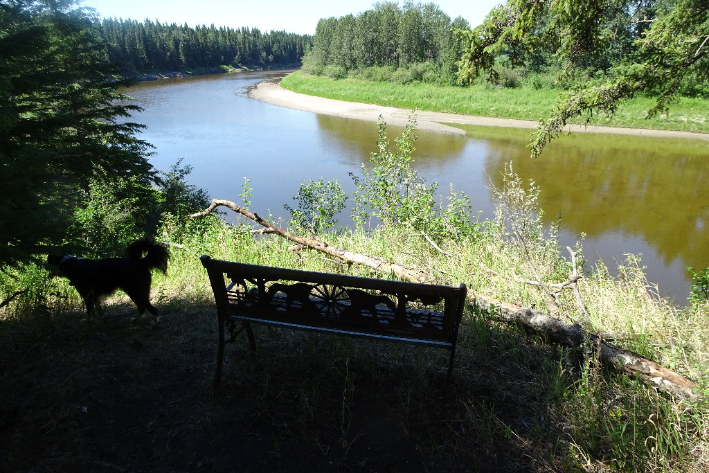 Chattaway Grove on the Pembina River