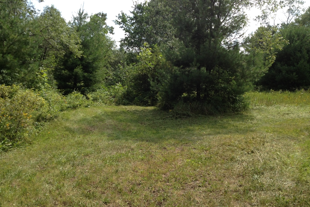 Shannik Beaver Creek Camp - Photo 2