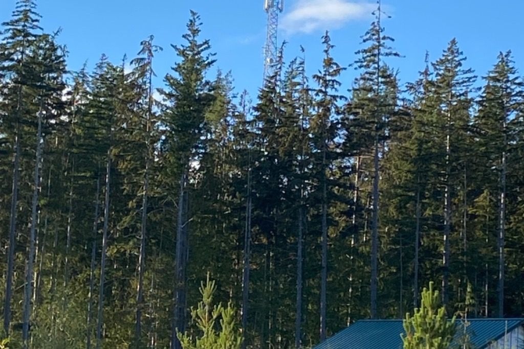 Private 80 Acre Paradise  photo 3