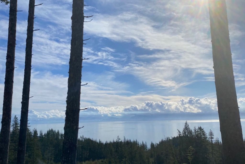 Private 80 Acre Paradise  photo 4