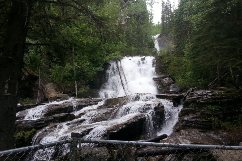 Mackenzie BC Gold panning and wildlife