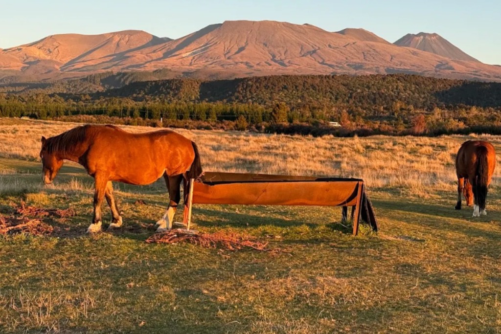 CrossXRoads | Tongariro Alpine Crossing Shuttle, Overnight Stays, Guided Cultural Walks photo 4