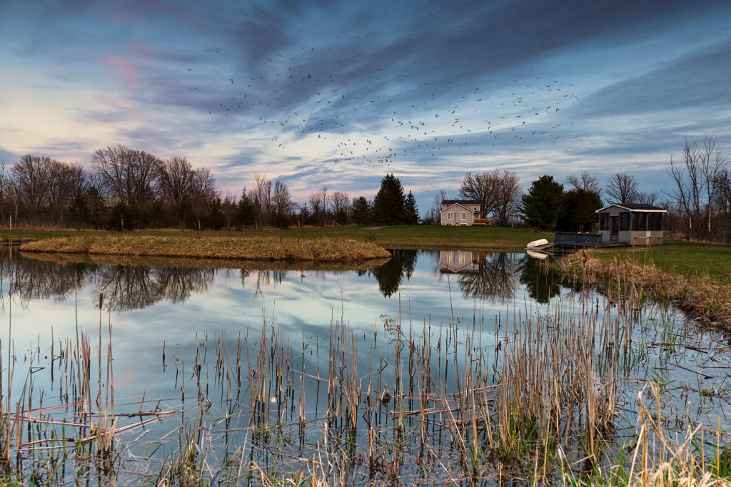 Farm House by the Pond photo 5