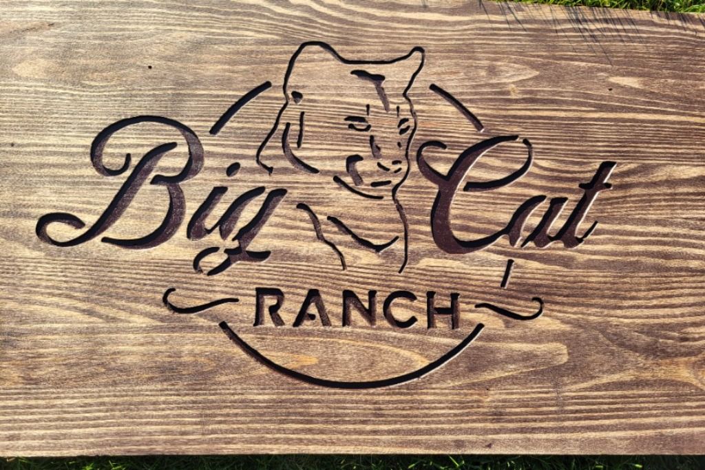 Big Cat Ranch photo 5