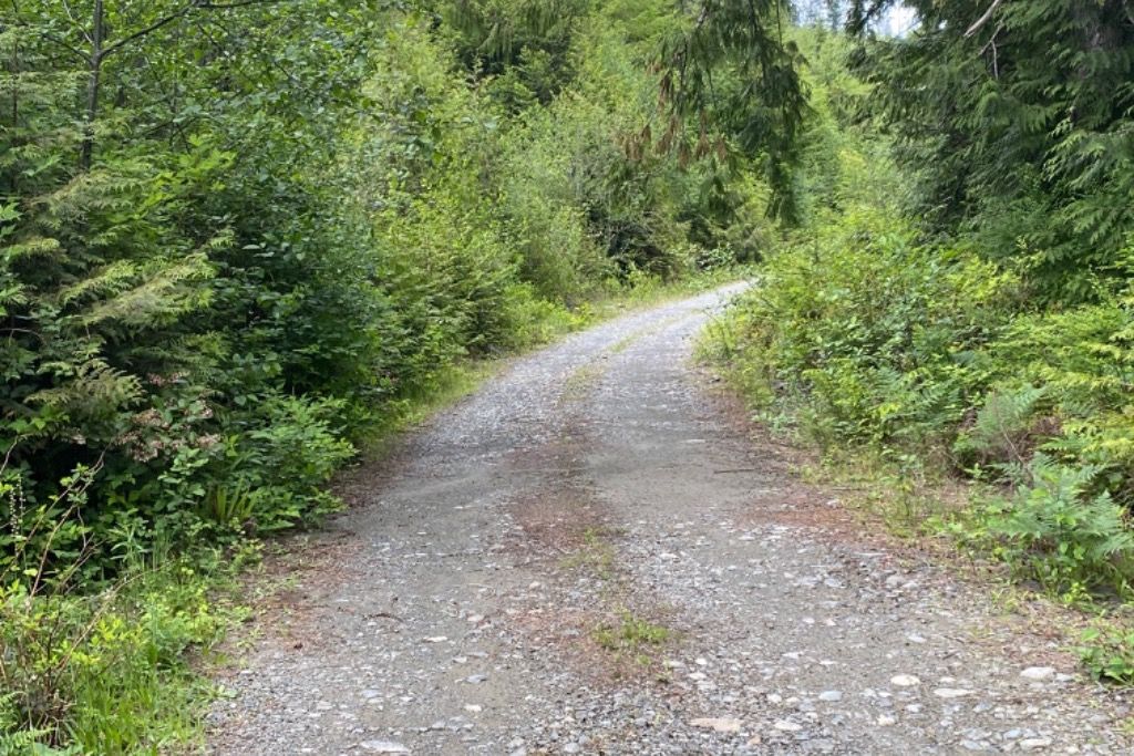 Private 80 Acre Paradise  photo 5