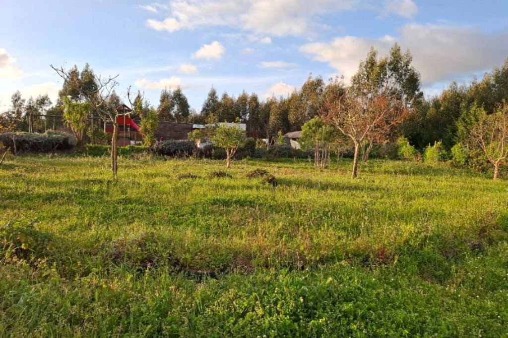 Caria's Organic Farm