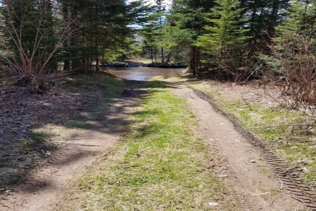 Camping by the River photo 2