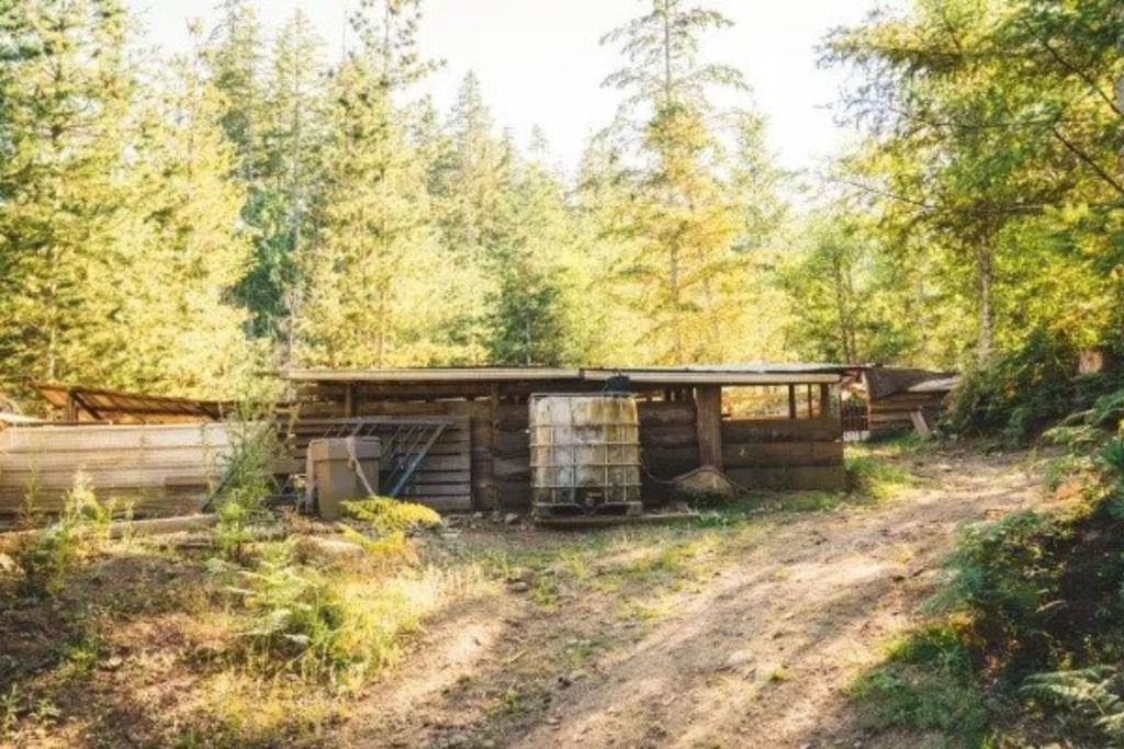 Maple Heart Ranch photo 4