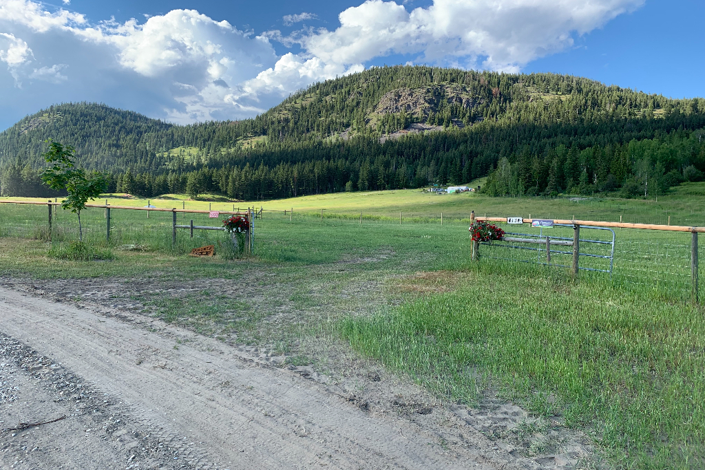 Wild Valley Farmz Camping & Events photo 3