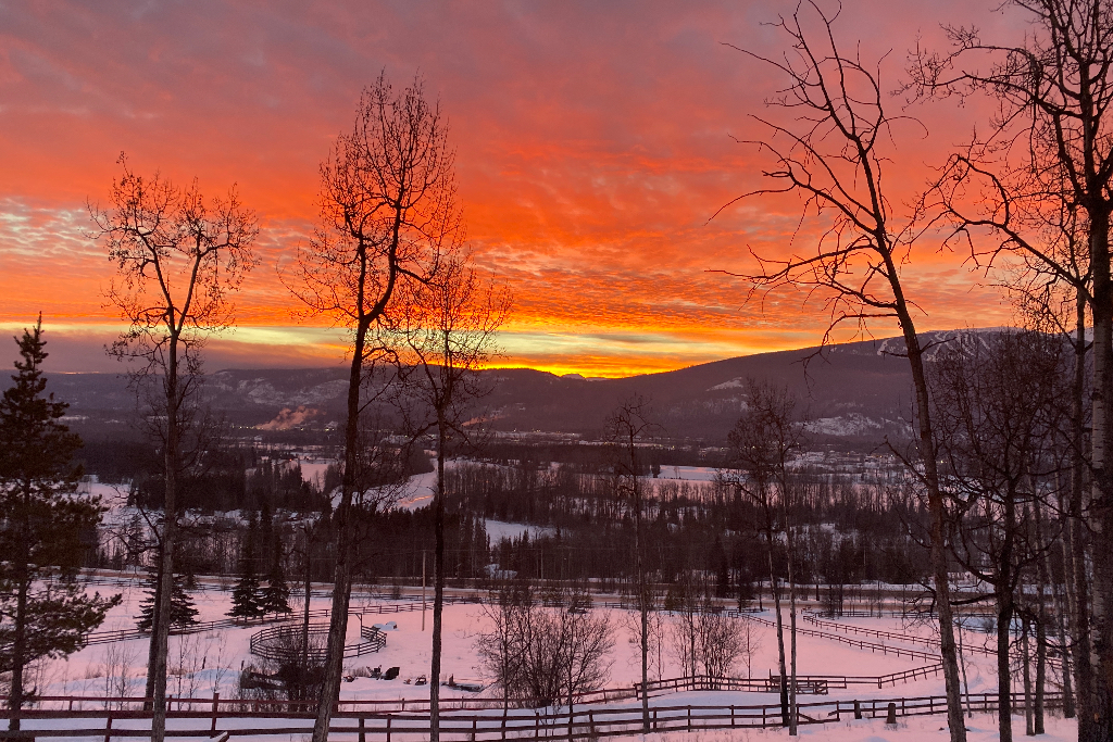 Call Cabin - Main photo