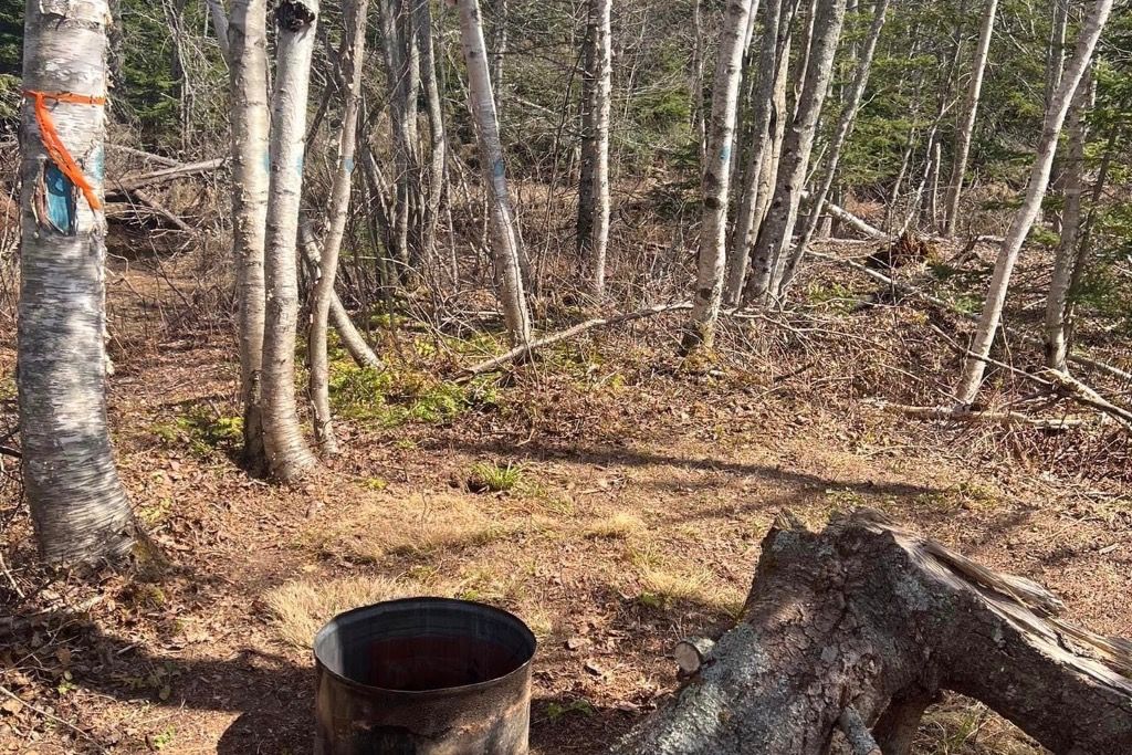 Coastal Campground photo 3