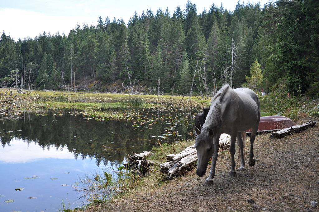 Welcome Harvest Farm Estate - Photo 2