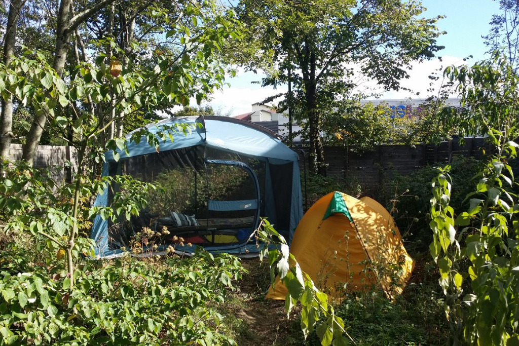 Urban garden in Halifax photo 3