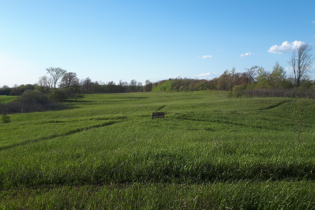 Eagle Eye Cabin Camp Ground photo 4