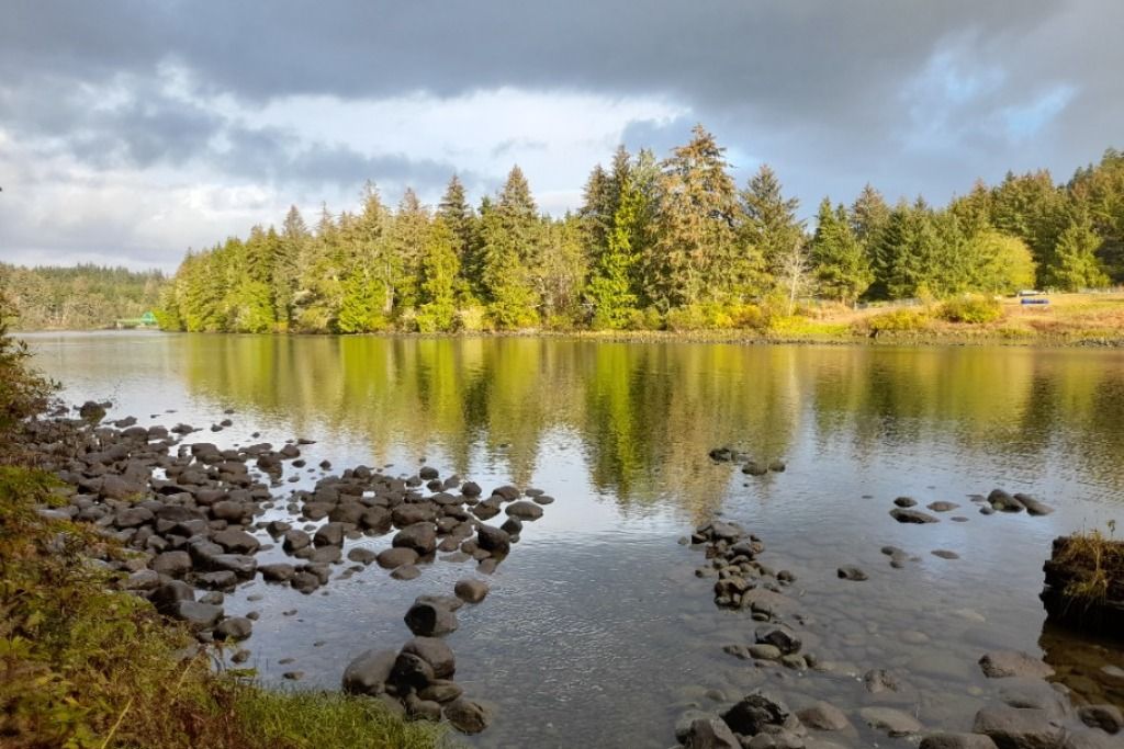 Riverside sanctuary in Northern Vancouver Island photo 3