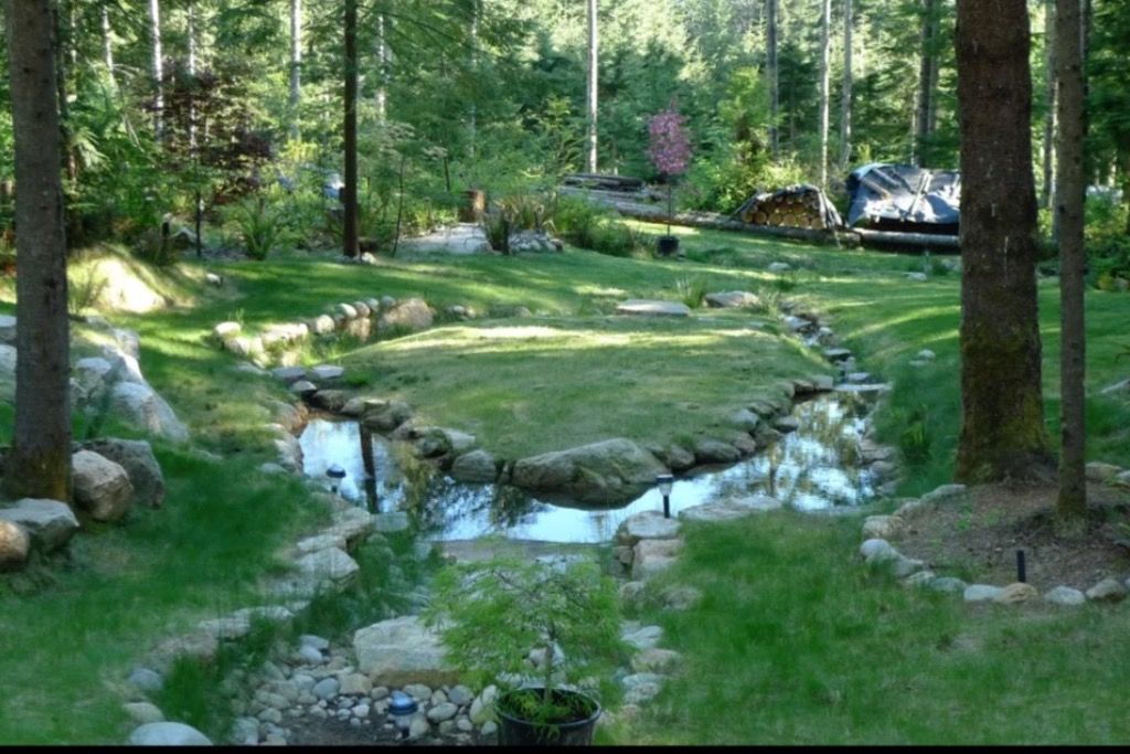 Forest Sanctuary photo 2