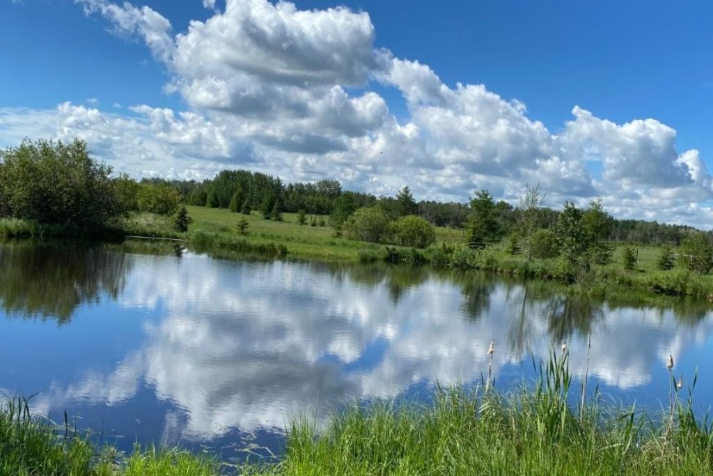 Elk Island Getaway photo 3