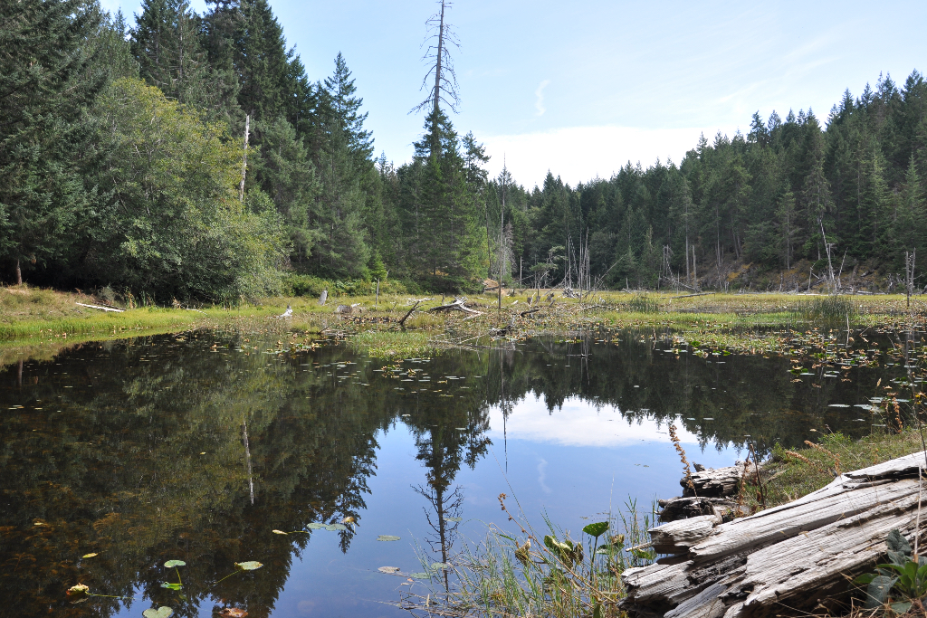 Welcome Harvest Farm Estate - Photo 3