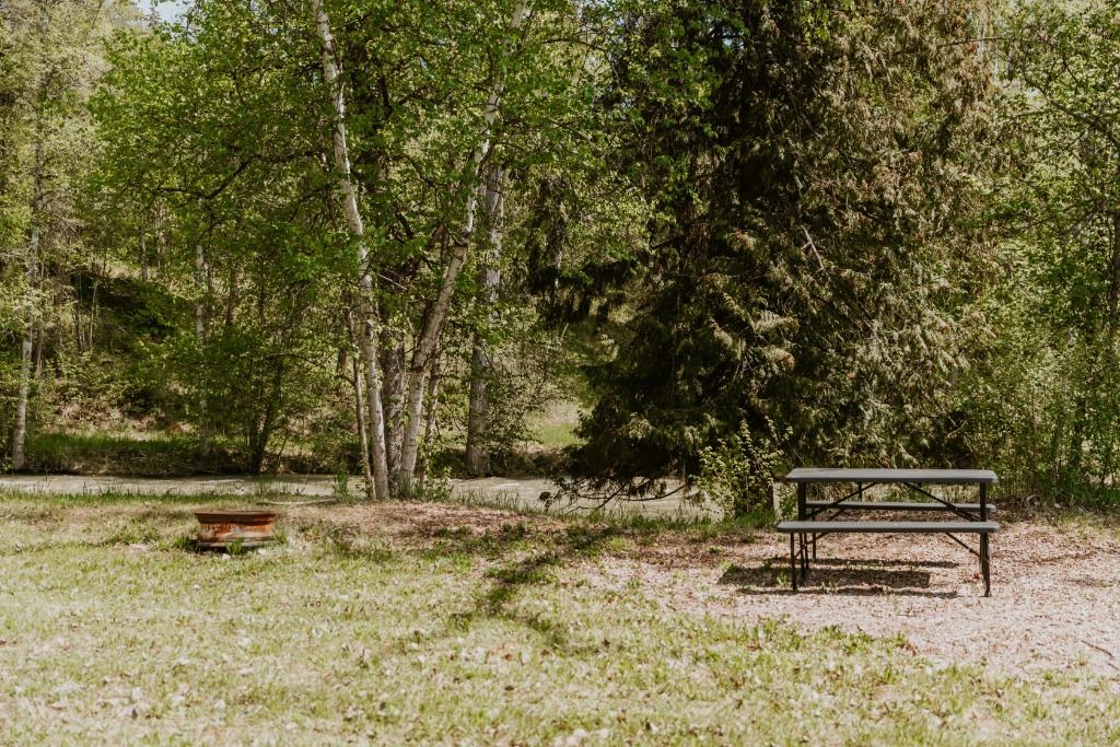 Cherryville Creek Camping photo 4