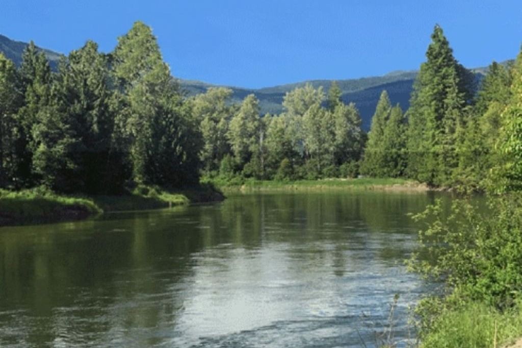 Sicamous Camping