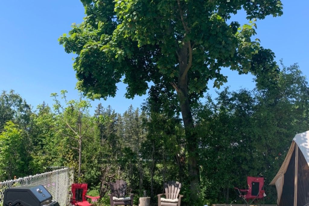 luxury glamping w/ pool & hot tub - Photo 3