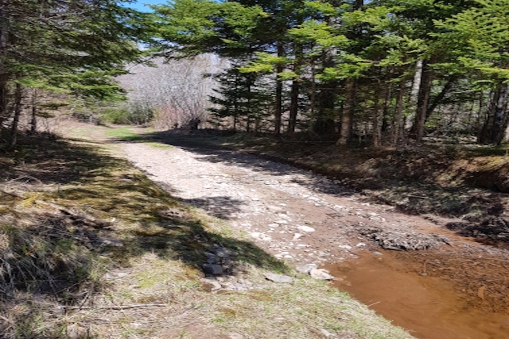 Camping by the River photo 5