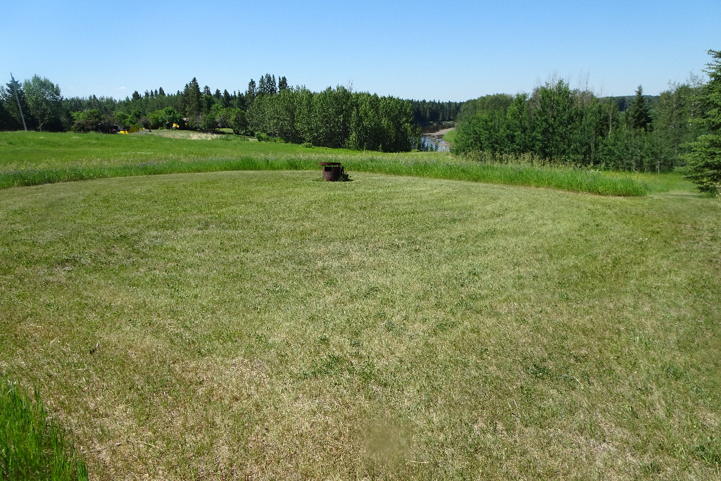 Chattaway Grove on the Pembina River photo 2
