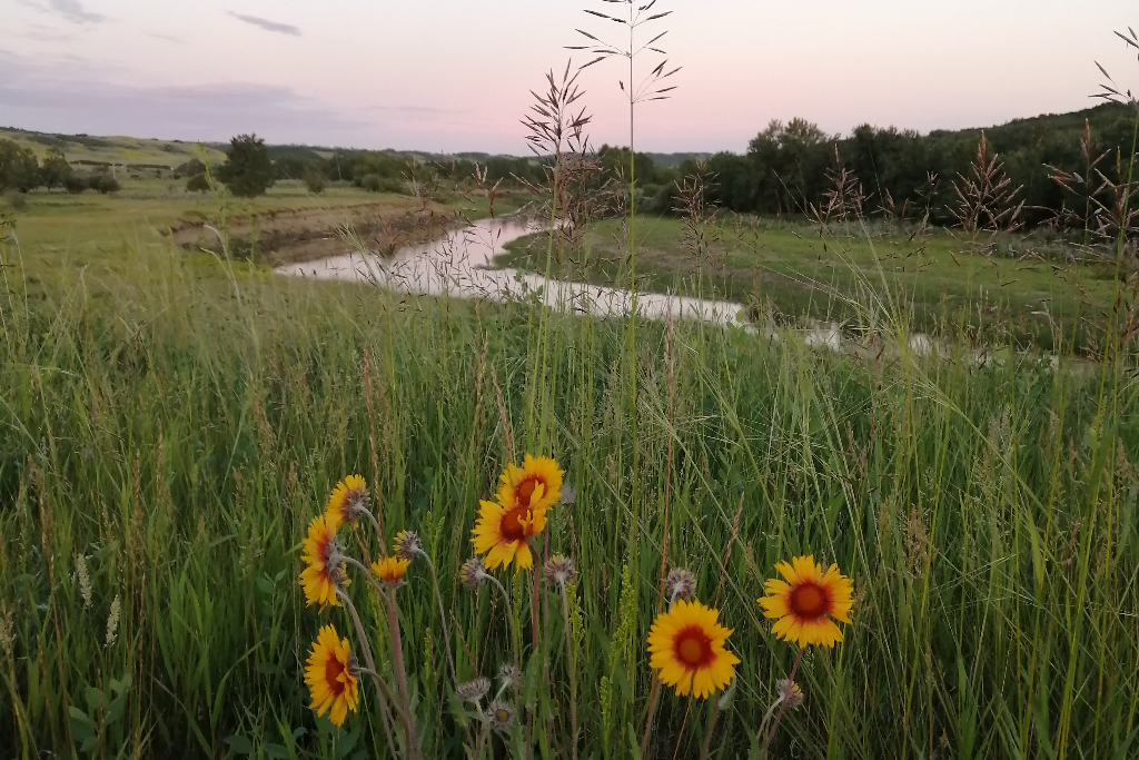 Rivers edge