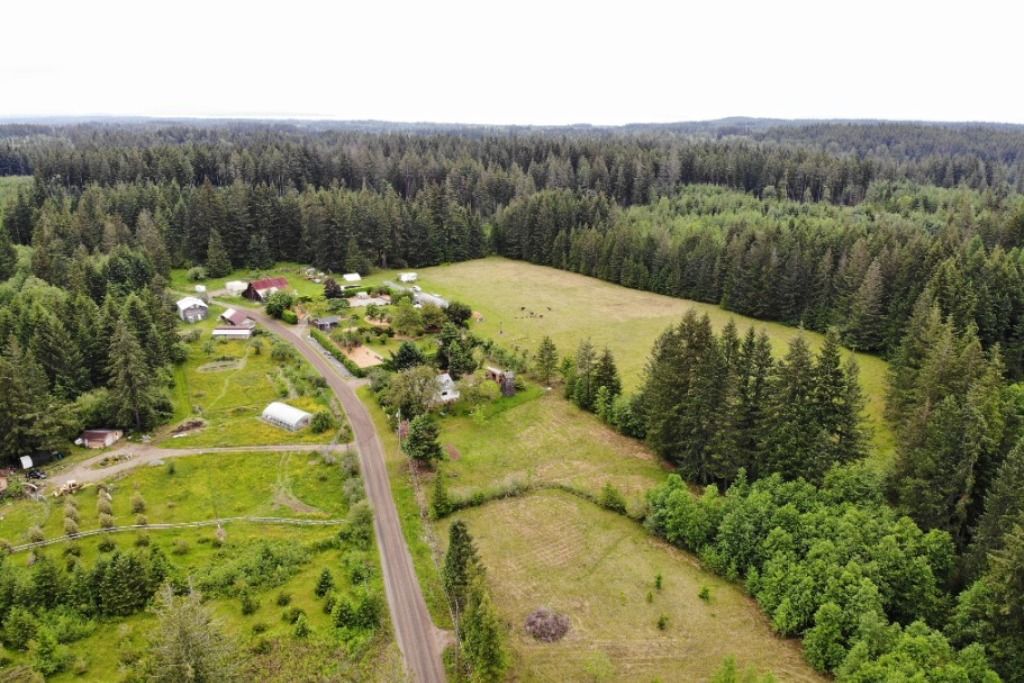 Tyee Valley Farm photo 3