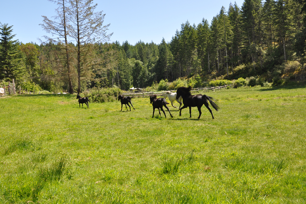 WHF Farm Stay Accommodation