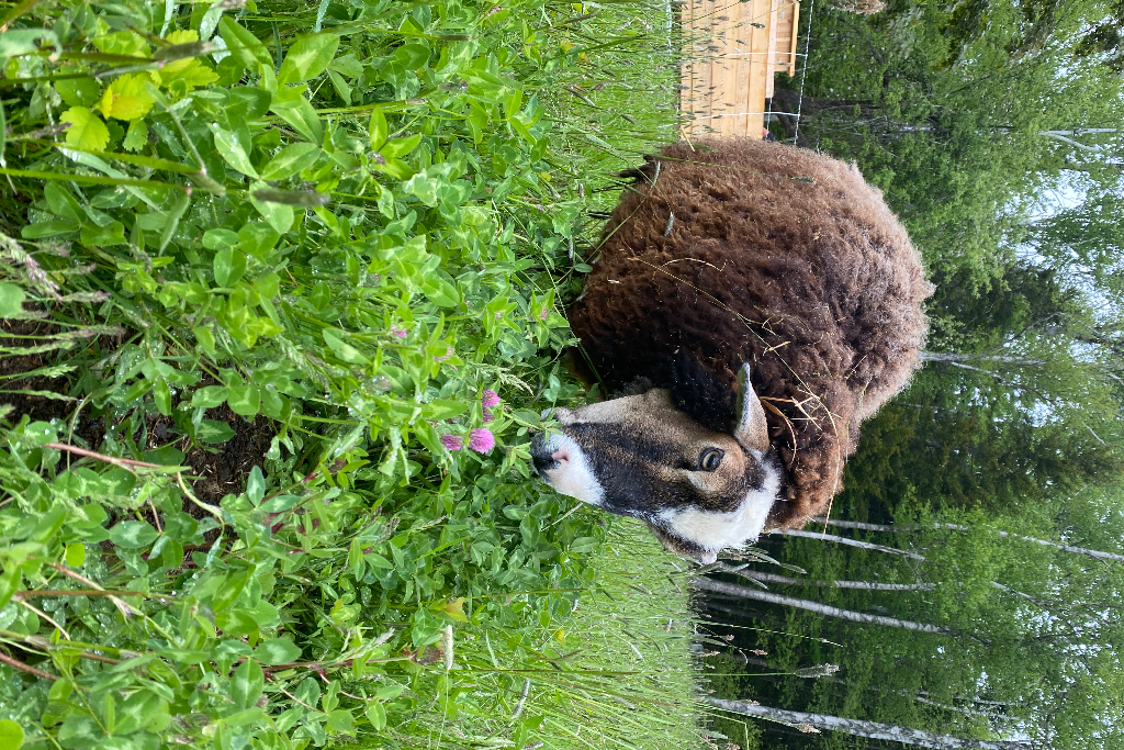 Hidden Harbour Farm photo 3