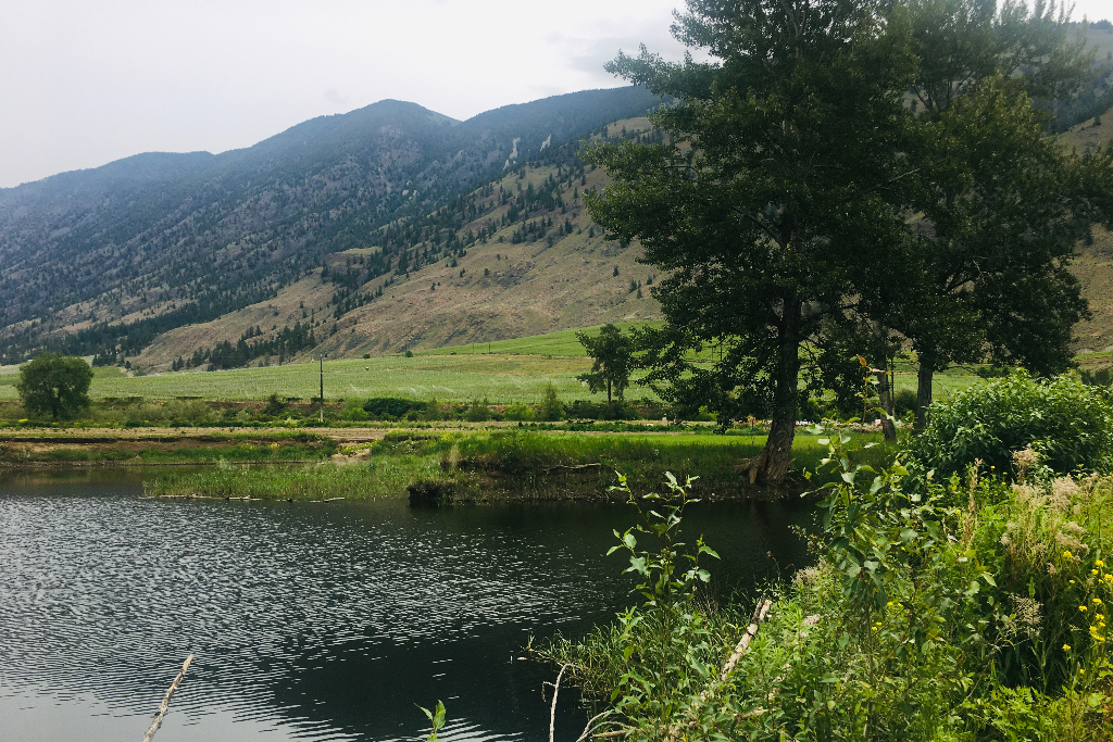 Grown Here Organic Farm  - Main photo