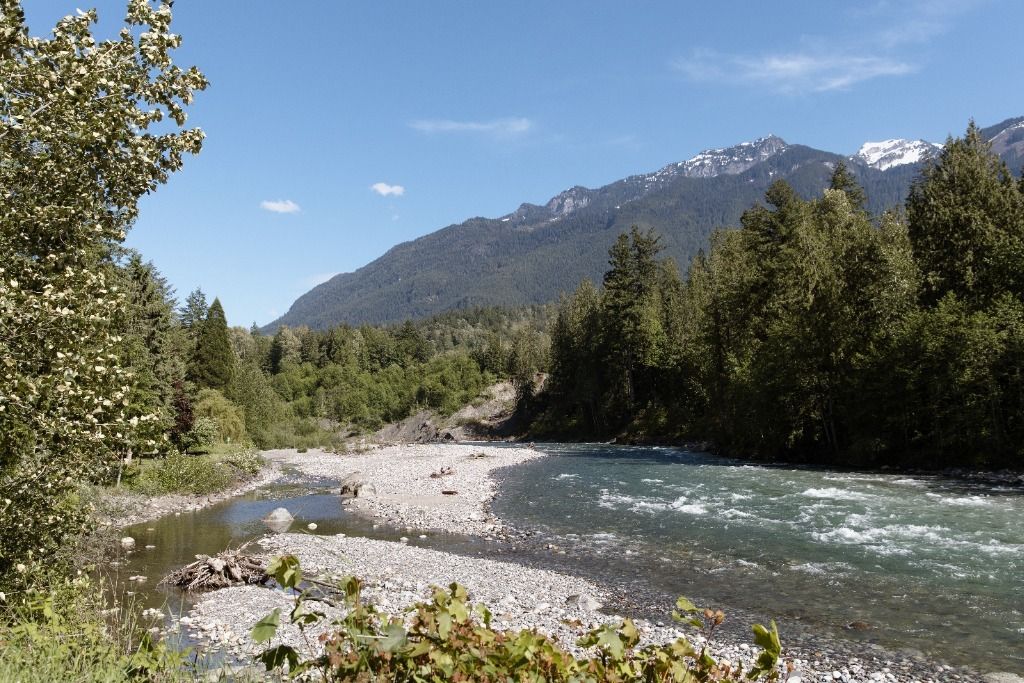 Living Large on the Chilliwack River - Main photo
