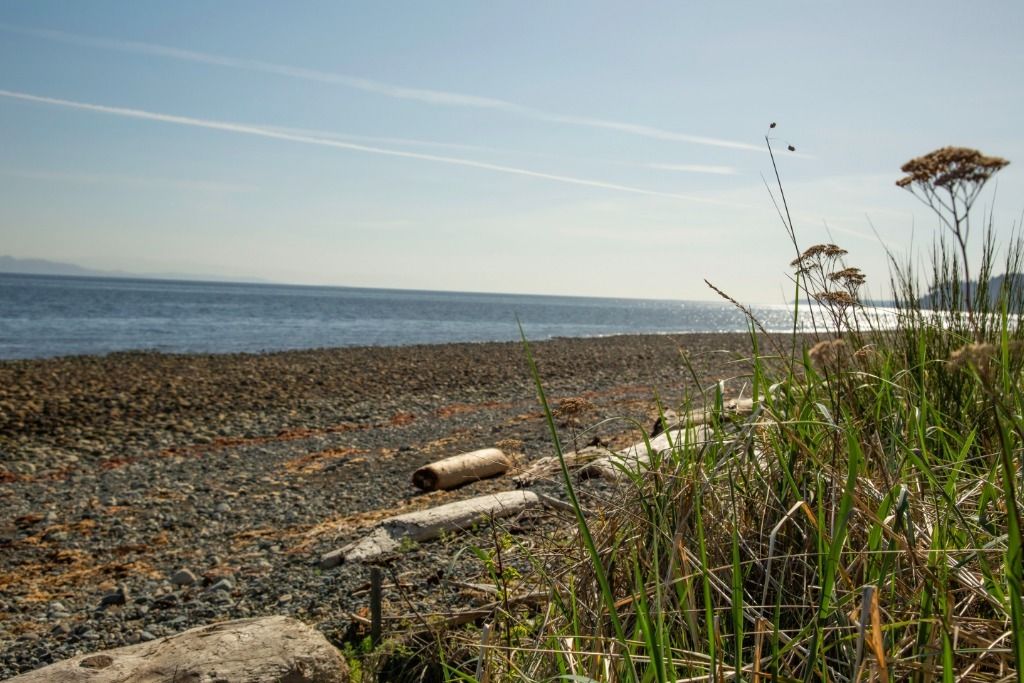 Seaside in Qualicum Bay main photo