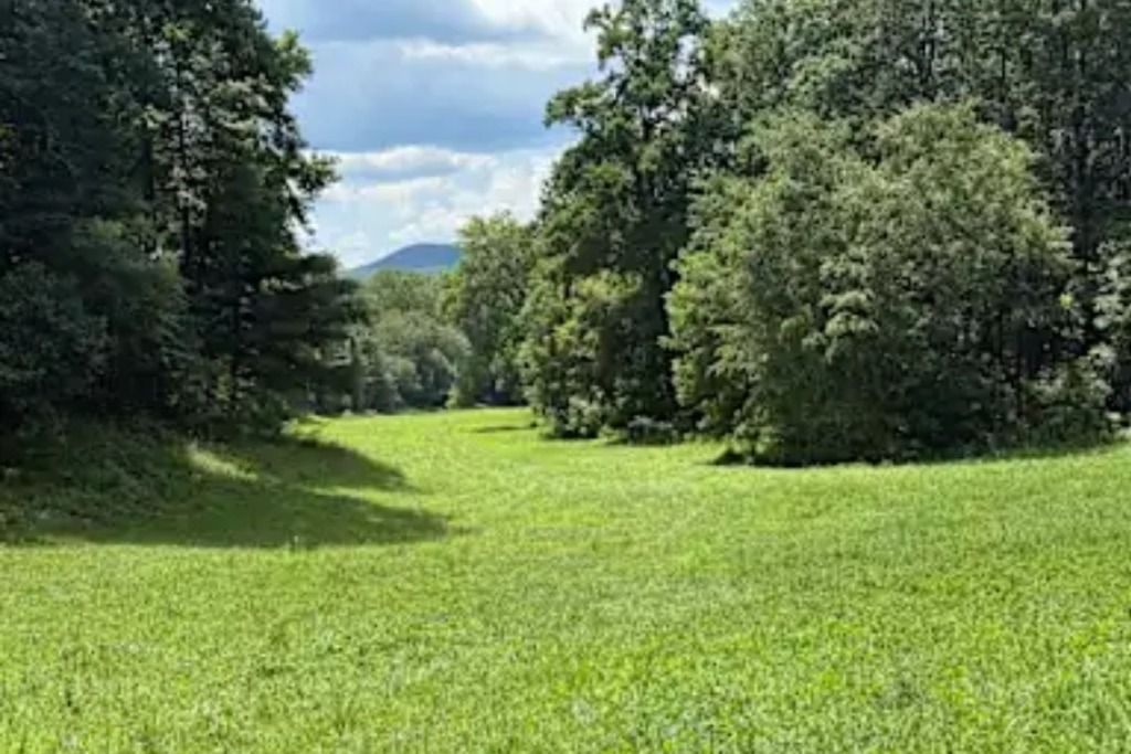 Walnut Springs Farm photo 5
