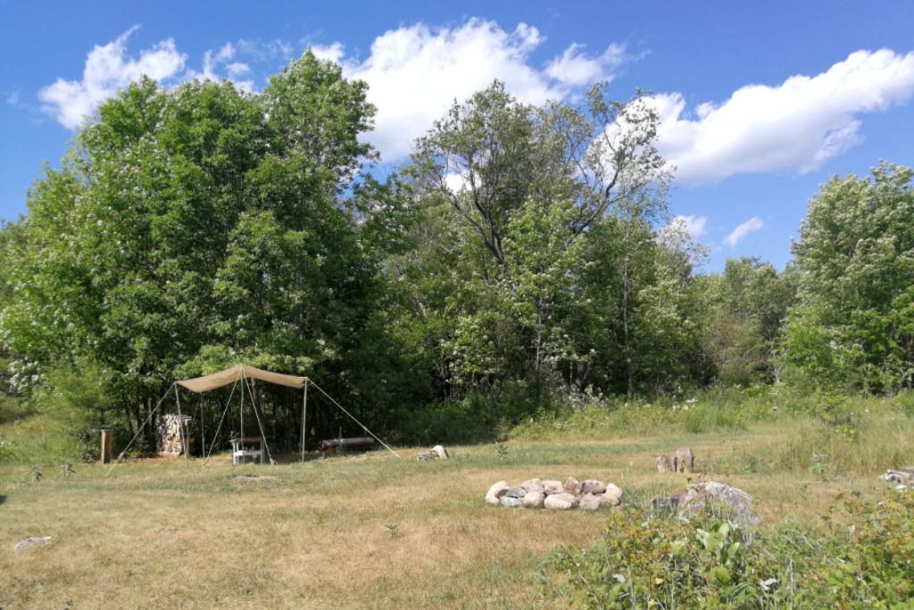 Yurta Glamping / Tent Camping 50 acres nature photo 5