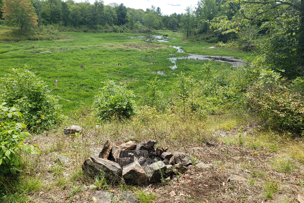 5 Acre Hardwood Forest in Tay Valley