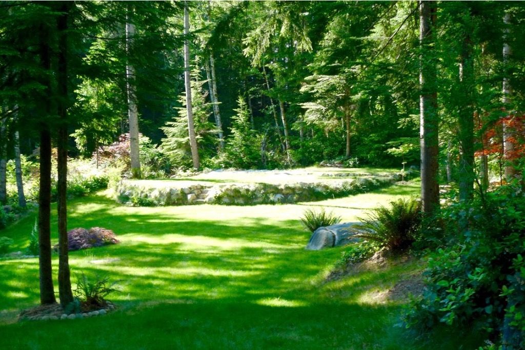 Forest Sanctuary photo 5