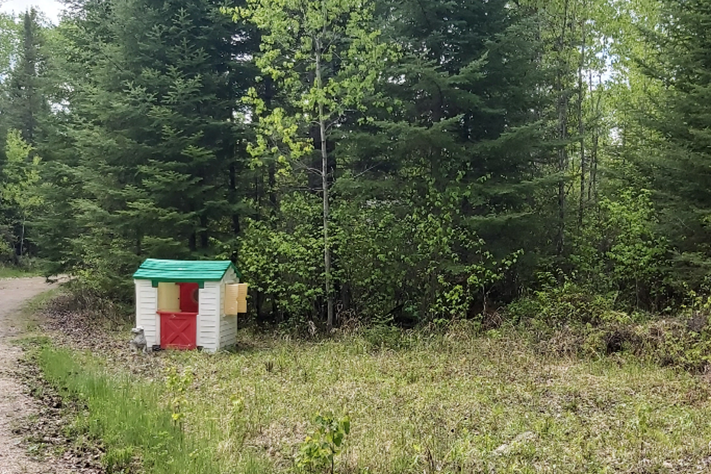 Boreal Fix photo 3
