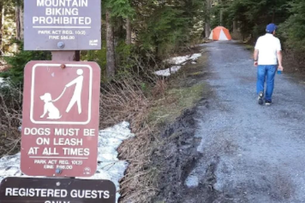 World Cup Fan Campground. FIFA Camp near Vancouver photo 3
