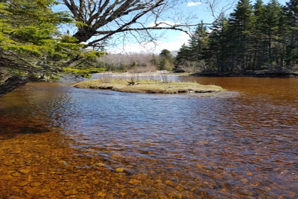 Camping by the River photo 4