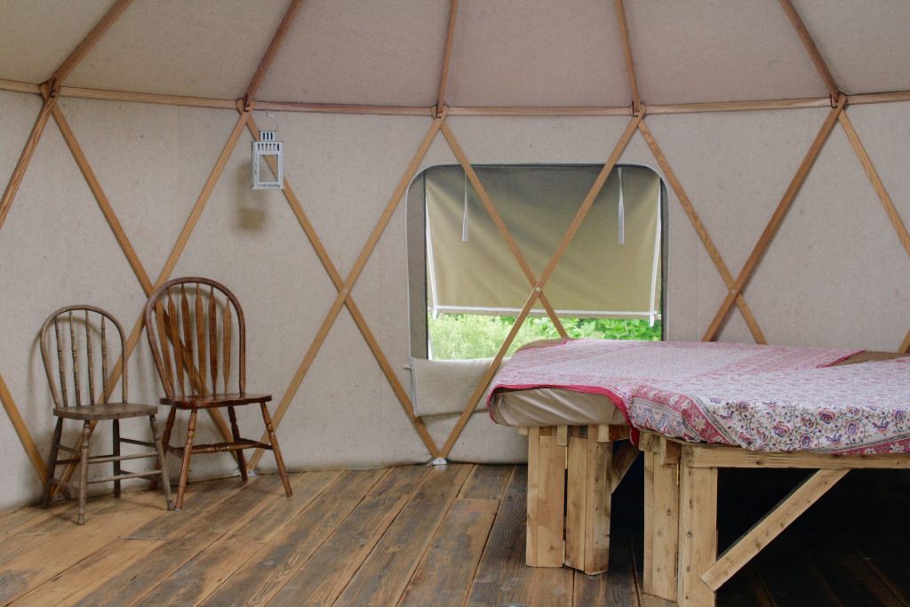 Yurta Glamping / Tent Camping 50 acres nature photo 3