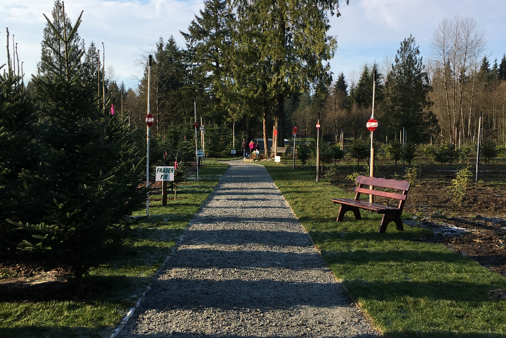 Tree Farm Retreat - Photo 2