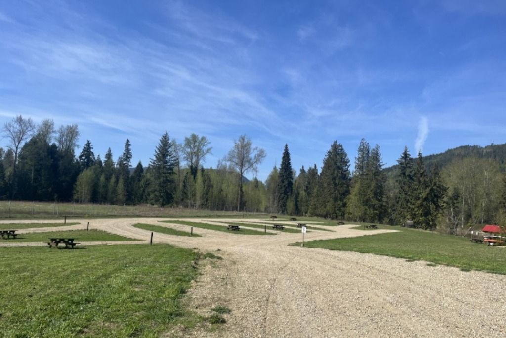 Sicamous Camping photo 3