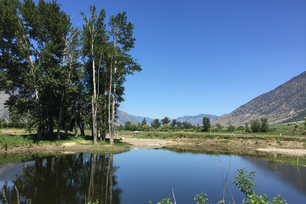 Grown Here Organic Farm  - Photo 2
