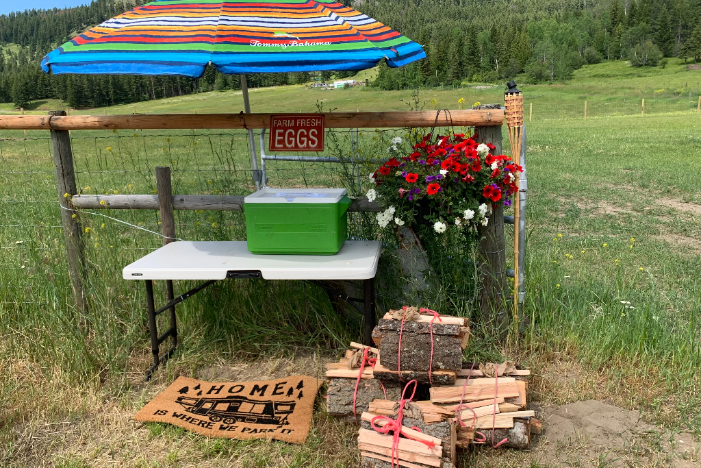 Wild Valley Farmz Camping & Events