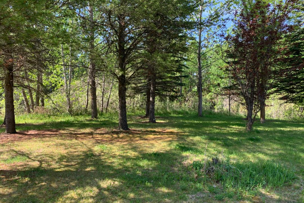 Creek's Edge - Photo 3