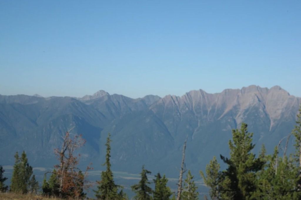 Murphy's Gold Creek Ranch photo 3