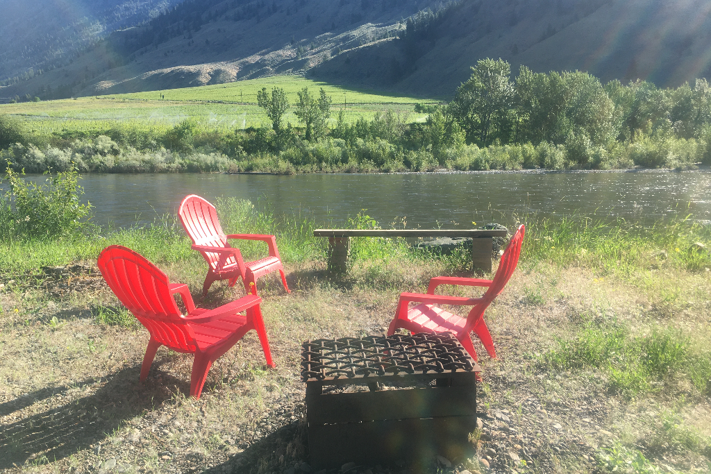 Grown Here Organic Farm  - Photo 3